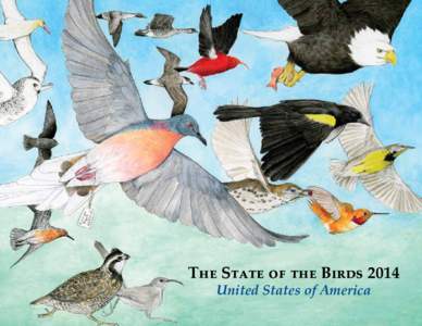 The State of the Birds 2014 United States of America The State of the Birds 2014 at a Glance One hundred years after the extinction of the Passenger Pigeon, the nation’s top bird scientists from conservation groups a