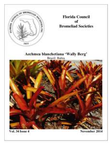 Florida Council of Bromeliad Societies Aechmea blanchetiana ‘Wally Berg’ Brazil: Bahia