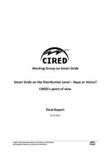 Working Group on Smart Grids  Smart Grids on the Distribution Level – Hype or Vision? CIRED’s point of view  Final Report