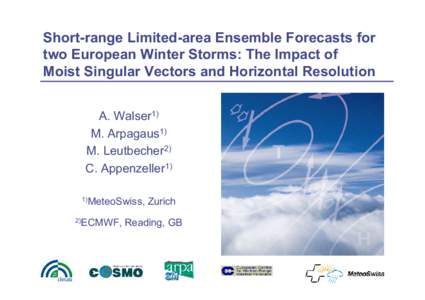 The Impact of Moist Singular Vectors and Horizontal Resolution on Short-Range Limited-Area Ensemble Forecasts for Extreme Weather Events