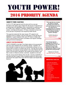 2016 Priority Agenda About This Agenda In 2015, YP! held regional youth forums and focus groups throughout the state to gain insight into the issues of importance to young people with disabilities and/or involvement in s