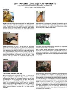2014 PACC911’s Lulu’s Angel Fund RECIPIENTS In 2014 over 50 animals were helped through the Lulu’s Angel Fund. Here are three of those animals’ stories. HONEY