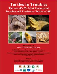 Turtles in Trouble: Turtles in Trouble: Top 25+ Endangered Tortoises and Freshwater Turtles—2011 The World’s 25+ Most Endangered Tortoises and Freshwater Turtles—2011