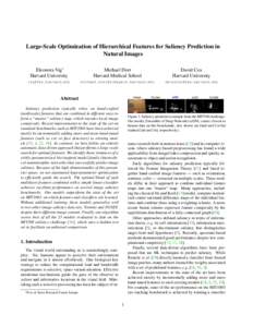 Large-Scale Optimization of Hierarchical Features for Saliency Prediction in Natural Images Eleonora Vig∗ Harvard University  Michael Dorr