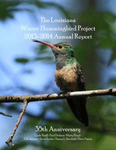 Winter Hummingbird Report.pmd