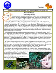 October October 2014 Volunteer Information Station for the North Carolina Aquarium on Roanoke Island Poison Dart Frogs Dendrobates auratus e
