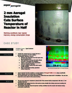 2 mm Aerogel Insulation Cuts Surface Temperature of Reactor in Half Working conditions near reactor