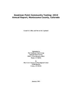 Report of 2005 Research at Goodman Point Pueblo (5MT604), Montezuma County Colorado