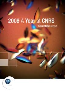 2008 A Year at CNRS Scientific report www.cnrs.fr  This brochure is published by the CNRS Communications Office.