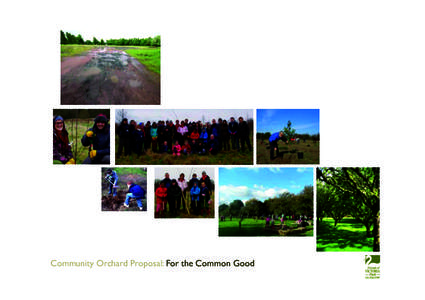 Community Orchard Proposal: For the Common Good
  Robert Mellish: Convenor, Friends of Victoria Park A local resident, Robert has an extensive knowledge of both large scale commercial orchards and community orchards.