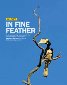 Wildlife  In fine feather  mike smith/ Dinodia