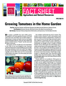 Growing Tomatoes in the Home Garden