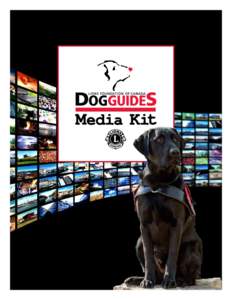 Media Kit  About Lions Foundation of Canada Dog Guides Lions Foundation of Canada Dog Guides is a national charity. Its mission is to assist Canadians with physical or medical disabilities by providing them specially tr