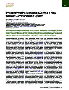 Phosphotyrosine Signaling: Evolving a New Cellular Communication System