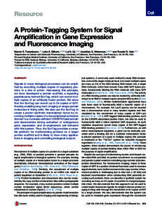 Resource  A Protein-Tagging System for Signal Amplification in Gene Expression and Fluorescence Imaging Marvin E. Tanenbaum,1,2 Luke A. Gilbert,1,2,3,4 Lei S. Qi,1,3,4 Jonathan S. Weissman,1,2,3,4 and Ronald D. Vale1,2,*