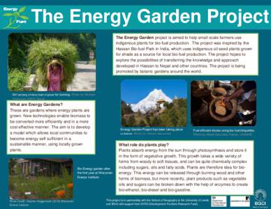 The Energy Garden Project The Energy Garden project is aimed to help small scale farmers use indigenous plants for bio-fuel production. The project was inspired by the Hassan Bio-fuel Park in India, which uses indigenous