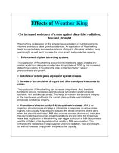Microsoft Word - Effects of Weather King.doc