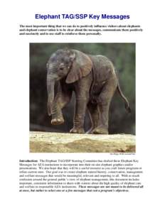 Elephant Conservation Messages - Association of Zoos and Aquariums