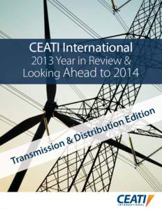 CEATI 2013 Year in Review_TD_Front End