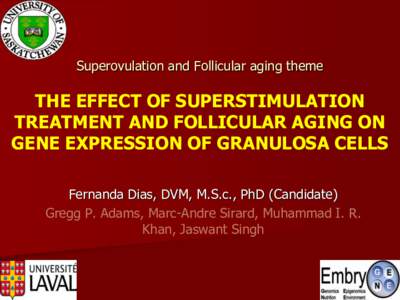 Superovulation and Follicular aging theme  THE EFFECT OF SUPERSTIMULATION TREATMENT AND FOLLICULAR AGING ON GENE EXPRESSION OF GRANULOSA CELLS Fernanda Dias, DVM, M.S.c., PhD (Candidate)