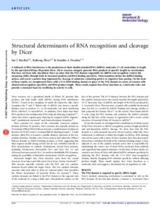 © 2007 Nature Publishing Group http://www.nature.com/nsmb  ARTICLES Structural determinants of RNA recognition and cleavage by Dicer