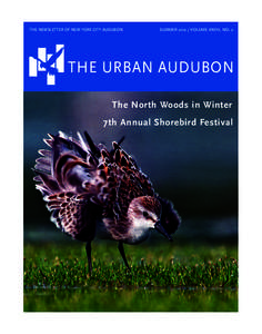 The newsletter of New York City Audubon  SUMMERVolume XXXIII, No. 2 THE URBAN AUDUBON The North Woods in Winter
