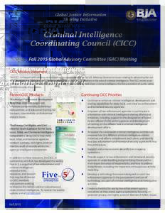Criminal Intelligence Coordinating Council (CICC)/Global Intelligence Working Group (GIWG) Fall 2013 GAC Summary