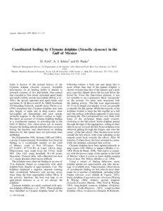 Aquatic Mammals 1997, 23.2, 111–112  Coordinated feeding by Clymene dolphins (Stenella clymene) in the