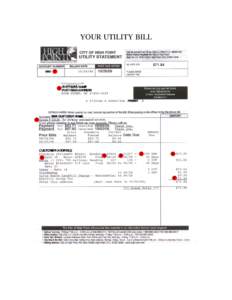 YOUR UTILITY BILL  CUSTOMER ACCOUNT NUMBER CUSTOMER NAME AND ADDRESS AUTOMATED ACCOUNT ACCESS NUMBER Please note that you can view and pay your bill on-line at the