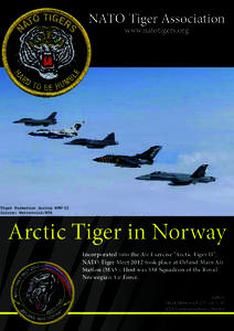 NATO Tiger Association www.natotigers.org Tiger Formation during NTM’12 Source: Metternich/NTA