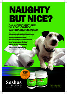 NAUGHTY BUT NICE? SASHAS BLEND BRINGS BACK YOUR DOGS OLD TRICKS… AND HELPS CREATE NEW ONES! Big or small, mature or just a pup your dog is susceptible to