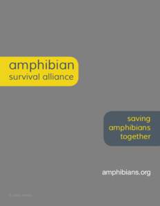 amphibian survival alliance saving amphibians together
