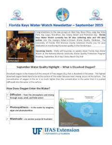 Congratulations to the new groups on Boot Key, Boca Chica, Long Key State Park, Key Largo, Marathon, Key Colony Beach and Plantation Key. Florida Keys Water Watch currently has 30 sites collecting data and >90 data entri