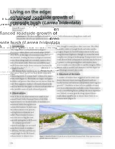 Living on the edge: enhanced roadside growth of creosote bush (Larrea tridentata) David K. Lynch Thule Scientific