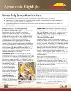 Uneven Early Season Growth in Corn  Several factors can contribute to uneven corn emergence and growth early in the season.  Replanting is not often justified due to uneven stands; however, understanding why 