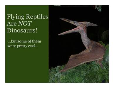 The first thing you need to know is that the flying reptiles that lived with the dinosaurs were definitely NOT dinosaurs. There are flying dinosaurs, but they have feathers and we call them birds. Flying reptiles appear