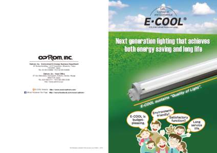 Safe, Ecological and Economical CCFL (Cold Cathode Fluorescent Lamp)