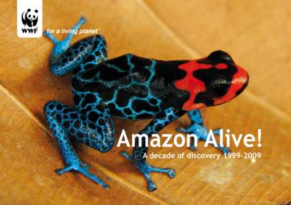 Amazon Alive! A decade of discovery © Brent Stirton / Getty Images / WWF-UK  The Amazon is the planet’s largest