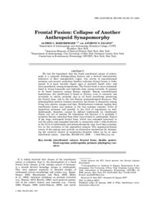 THE ANATOMICAL RECORD 291:308–Frontal Fusion: Collapse of Another Anthropoid Synapomorphy ALFRED L. ROSENBERGER1,2,3 AND ANTHONY S. PAGANO3* Department of Anthropology and Archaeology, Brooklyn College, CUN