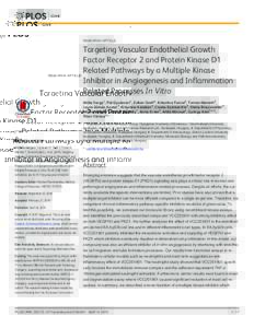 Targeting Vascular Endothelial Growth Factor Receptor 2 and Protein Kinase D1 Related Pathways by a Multiple Kinase Inhibitor in Angiogenesis and Inflammation Related Processes In Vitro
