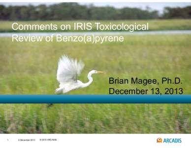 IRIS Bimonthly Meeting Presentations - Dec[removed]Comments on IRIS Toxicological Review of Benzo(a)pyrene)