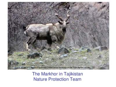 Stefan Michel and Community based Conservation Initiatives on the Tajik-Afghan border.  The Markhor in Tajikistan Nature Protection Team  Heptner’s markhor