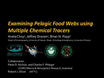 Utilizing Chemical Tracers for Pelagic Food Web Understanding
