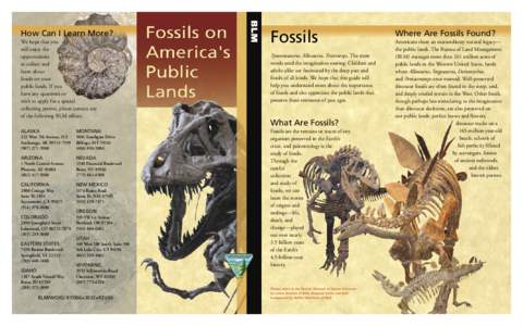 Fossils  How Can I Learn More? We hope that you will enjoy the opportunities