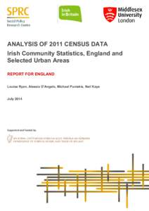ANALYSIS OF 2011 CENSUS DATA Irish Community Statistics, England and Selected Urban Areas REPORT FOR ENGLAND Louise Ryan, Alessio D’Angelo, Michael Puniskis, Neil Kaye