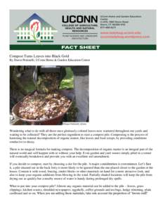 Compost Turns Leaves into Black Gold By Dawn Pettinelli, UConn Home & Garden Education Center Wondering what to do with all those once gloriously colored leaves now scattered throughout our yards and waiting to be collec