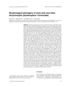 Systematic Entomology (2005), 30, 593–618  DOI: [removed]j[removed]00290.x Morphological phylogeny of army ants and other dorylomorphs (Hymenoptera: Formicidae)