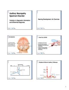 Microsoft PowerPoint - Auditory Neuropathy Morlet
