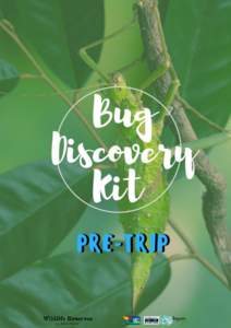 This Bug Discovery Kit provides an introduction to the wonderful world of insects and other invertebrates. The resources included in the kit may be used for independent learning on the topic of insects and invertebrate