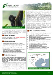 Hainan black crested gibbon / Fauna and Flora International / Black crested gibbon / Cao Bang province / SeaWorld & Busch Gardens Conservation Fund / Gibbons / Eastern black crested gibbon / Nomascus